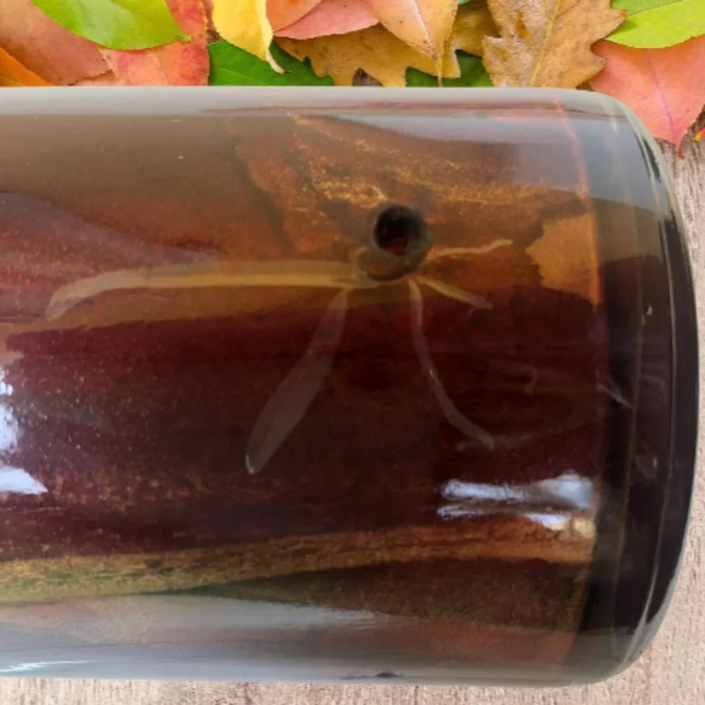 Glass Bottle Unique Inside Drip Painted Signed & Dated By Artist Collectibles